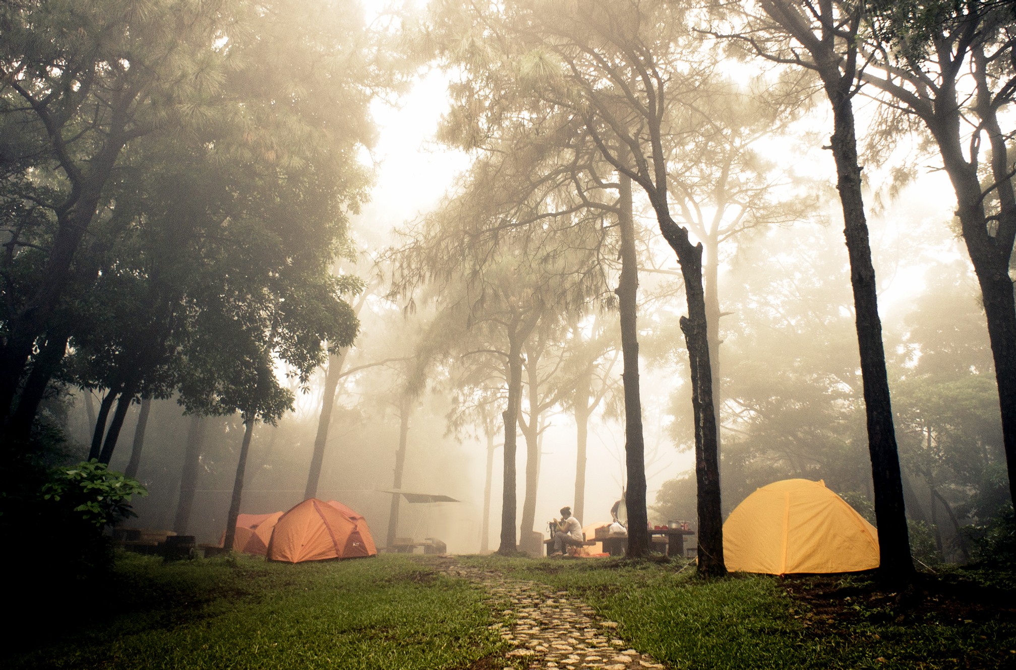 Le soleil brille sur une zone boisée d'un camping. Il y a une tente jaune à droite et une tente orange plus grande à gauche