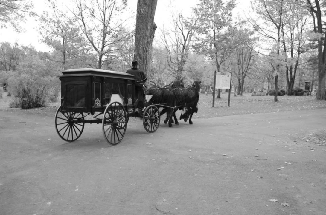 Noir et blanc d'un cheval a conduit un corbillard