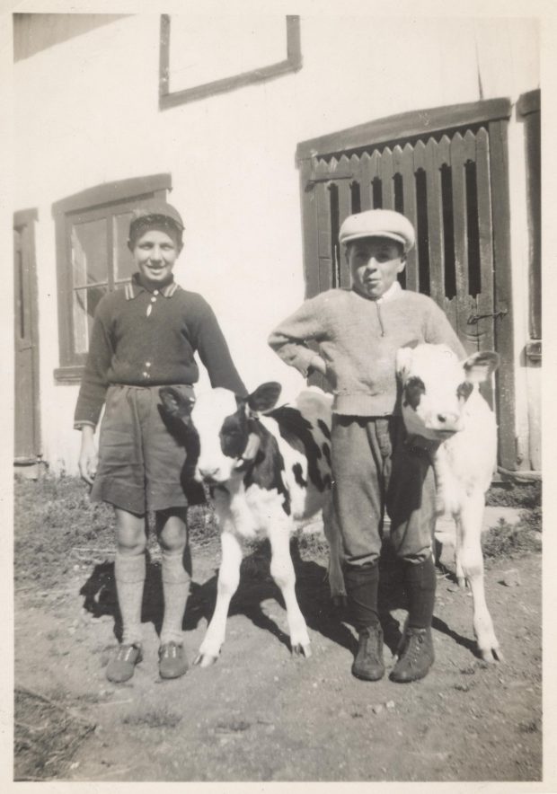 Photo en noir et blanc de deux enfants et deux veaux. 