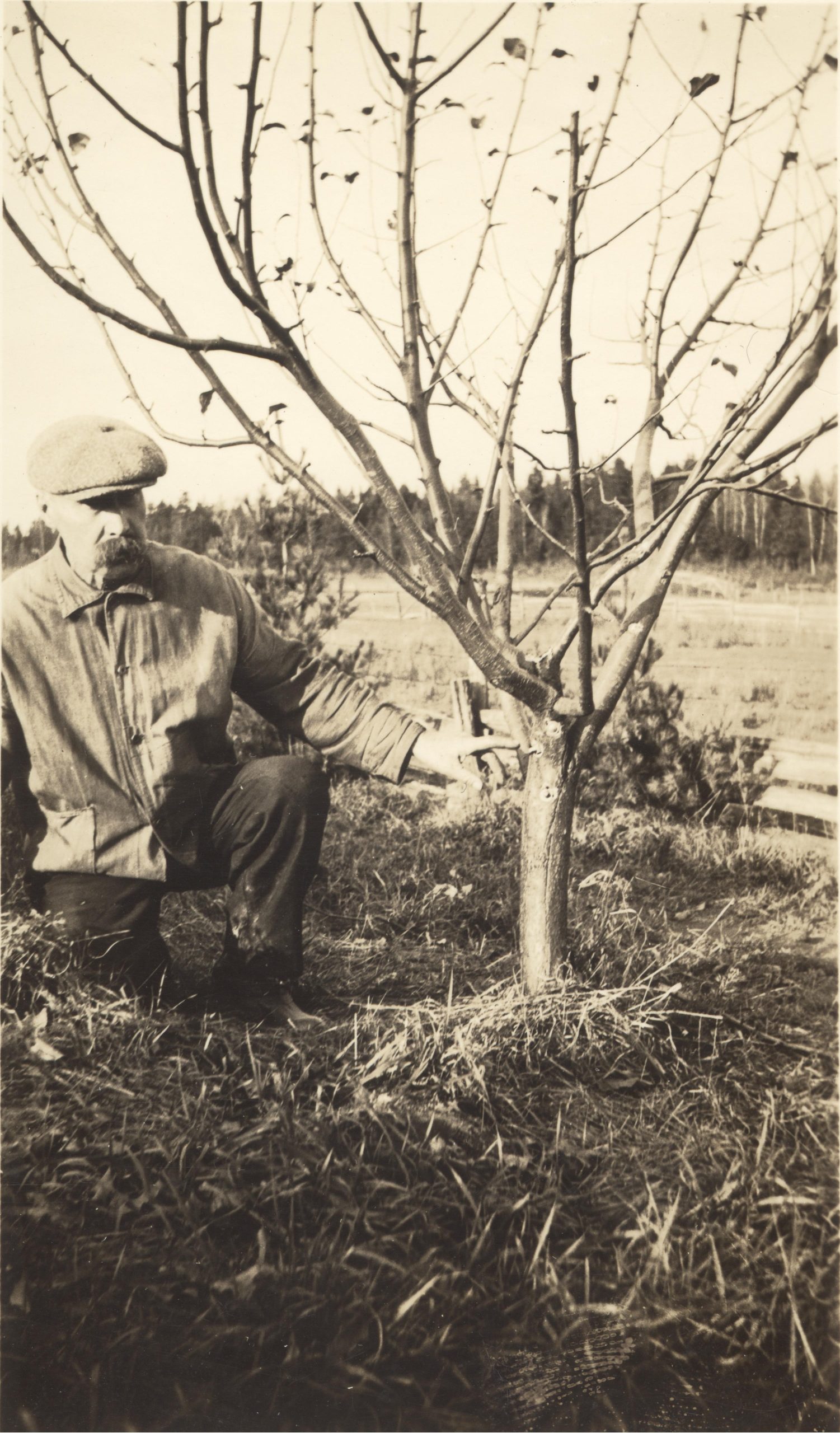 Photo en noir et blanc d'un homme agenouillé à un arbre.