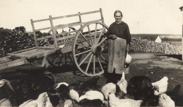 Photo en noir et blanc d'une dame avec des dindes à côté d'une charette. 