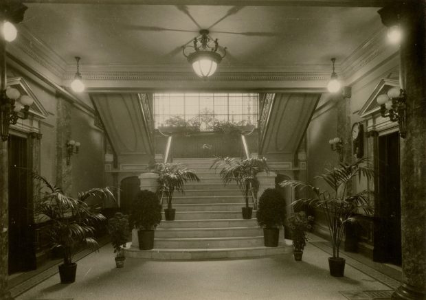 Photographie en noir et blanc d’un hall d’entrée menant vers un escalier. Le hall a des allures beaux-arts avec des piliers de marbre et des murs blancs. Huit plantes en pots sont installées pour former un chemin vers les escaliers. 