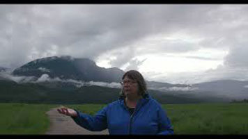 Cathy English – une femme blanche aux cheveux gris courts, vêtue d'un manteau bleu avec une fermeture éclair. Elle se tient sur un chemin de terre en faisant des gestes avec ses mains. Derrière elle, on aperçoit de l'herbe verte, une montagne et un ciel gris.