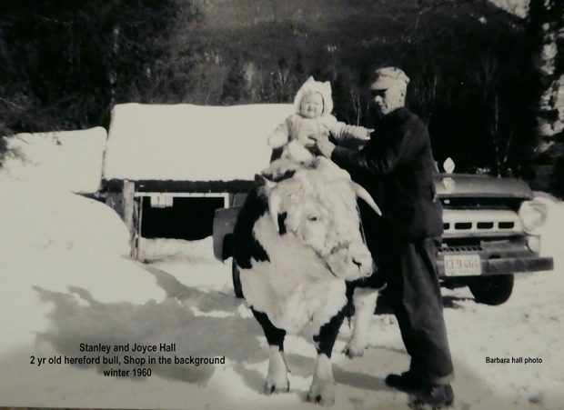 Photographie en noir et blanc d’un homme tenant un petit enfant sur le dos d’un taureau coloré par une journée enneigée. À l’arrière-plan, le devant d’un camion et un bâtiment sont visibles.