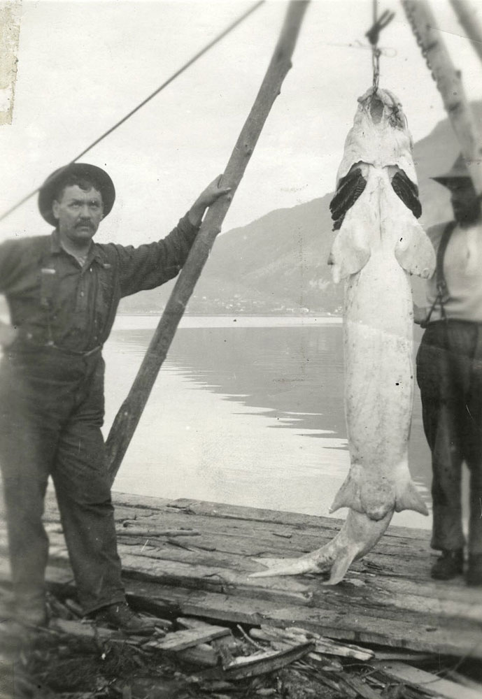 Sur cette photo en noir et blanc, un homme pose à côté d’un gros esturgeon suspendu à un trépied en bois. Un autre homme est derrière le poisson. Ils se trouvent au bord de l’eau, avec une montagne en arrière-plan.