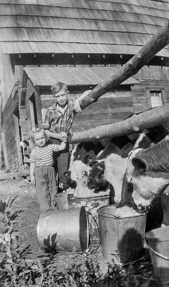 Photographie en noir et blanc. Un garçon s’appuie sur une clôture en bois tout en tenant la main d’une petite fille. Des vaches sortent leurs têtes à travers la clôture pour boire et manger dans de grands seaux. Un des seaux est renversé. Derrière eux se trouvent deux bâtiments en bois avec des toits en bardeaux.