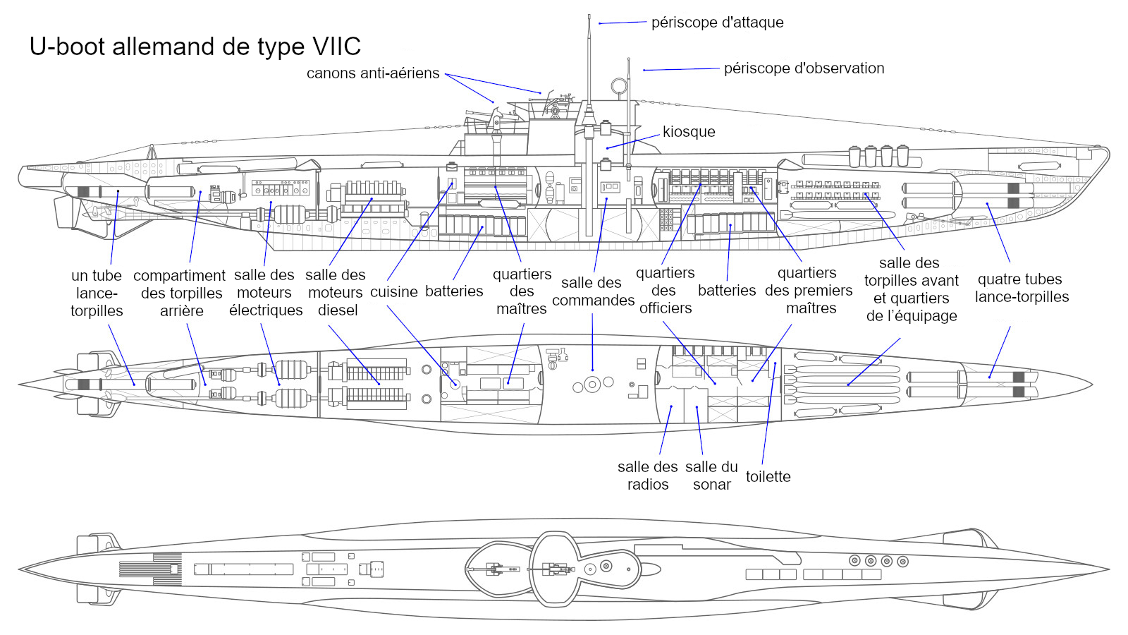 Plan d'un U-boot allemand de type VIIC  Le naufrage tragique du S.S. «  Caribou »