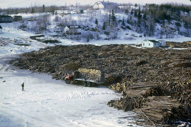 Photographie couleur d'une vue générale sur un espace de débardage des billots de bois.