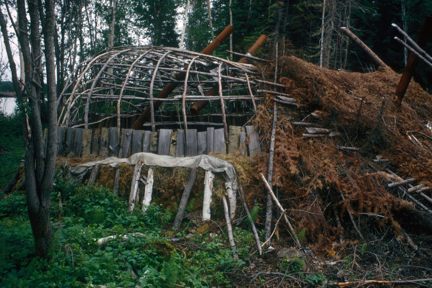 Photographie couleur de la structure d'un bâtiment allongé en forêt.