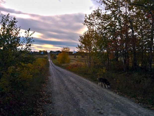 Vue éloignée sur un village rural à partir d'un rang de campagne, en automne, en fin de journée. On y voit un chien en avant-plan.